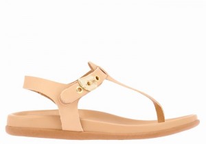 Beige Ancient Greek Sandals Alki Flip Flop Women Back-Strap Sandals | NKK6447IT