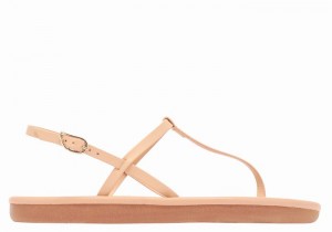 Beige Ancient Greek Sandals Lito Flip Flop Women Back-Strap Sandals | IVV9782LZ