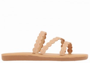 Beige Ancient Greek Sandals Oceanis Women Slide Sandals | BHC1932FL