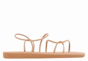 Beige Ancient Greek Sandals Proorismos Women Back-Strap Sandals | TRI1112NB