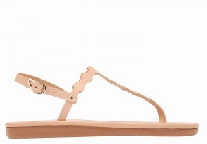 Beige Ancient Greek Sandals Velos Flip Flop Women Back-Strap Sandals | VAT7766QV