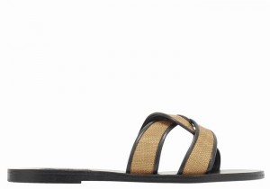 Brown Black Ancient Greek Sandals Desmos Women Slide Sandals | BCZ6028YD