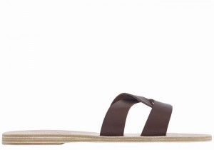 Coffee Ancient Greek Sandals Desmos Women Slide Sandals | ZUF1566RD