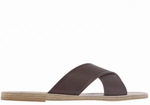 Coffee Ancient Greek Sandals Thais Women Slide Sandals | WAL3358QX