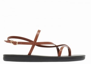 Dark Brown Ancient Greek Sandals Alethea Women Back-Strap Sandals | KMP5389RU