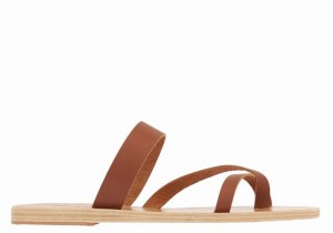 Dark Brown Ancient Greek Sandals Daphnae Leather Women Slide Sandals | FAC3411OX