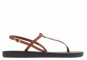 Dark Brown Ancient Greek Sandals Lito Flip Flop Women Back-Strap Sandals | TGL537XU