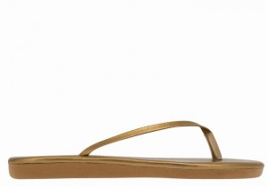 Gold Brown Ancient Greek Sandals Saionara Women Flip Flops | RPO9372TP