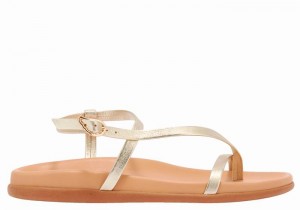 Gold White Ancient Greek Sandals Aimilia Women Back-Strap Sandals | KYK9984DO