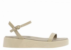 Grey Brown Ancient Greek Sandals Irida Leather Women Platform Sandals | LYL2588LA