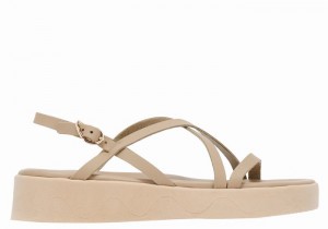 Grey Brown Ancient Greek Sandals Silia Leather Women Platform Sandals | DIC2591LX