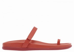 Red Ancient Greek Sandals Dokos Women Toe-Post Sandals | FZB847EV