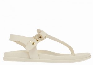 White Ancient Greek Sandals Alki Flip Flop Women Back-Strap Sandals | RMX1747UR