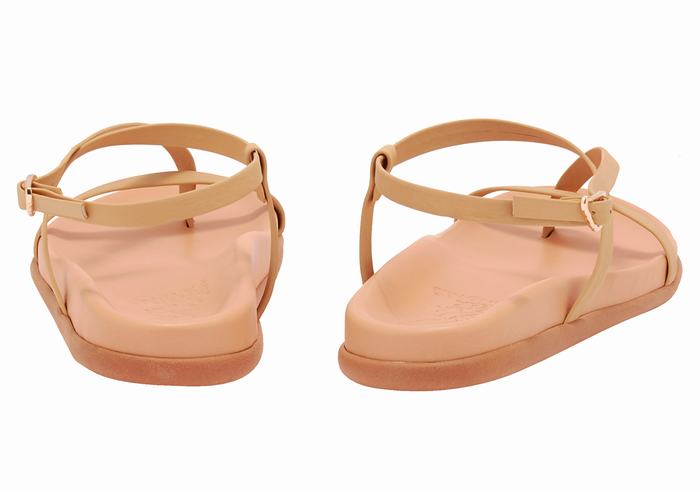 Beige Ancient Greek Sandals Aimilia Women Back-Strap Sandals | CXA1166KN