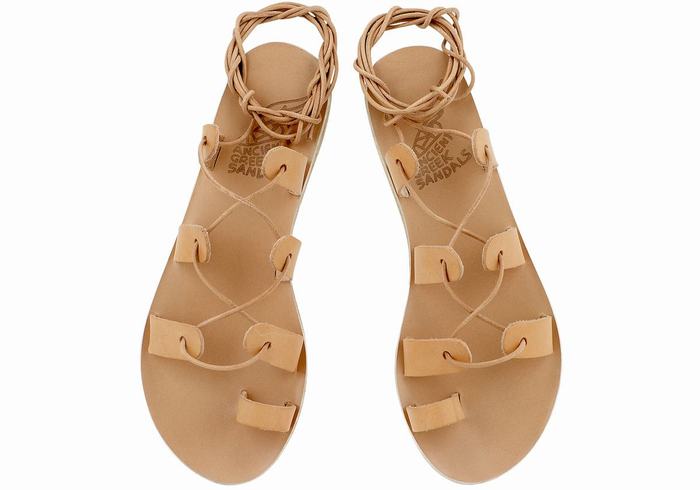 Beige Ancient Greek Sandals Alcyone Leather Women Gladiator Sandals | FZH548LI