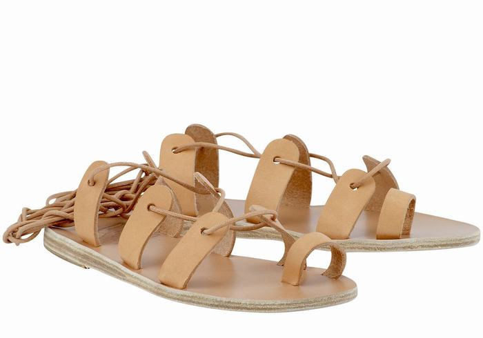 Beige Ancient Greek Sandals Alcyone Leather Women Gladiator Sandals | FZH548LI