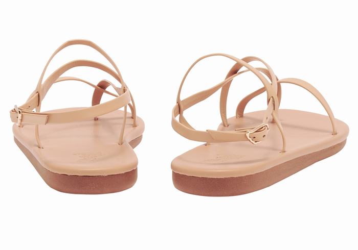 Beige Ancient Greek Sandals Alethea Women Back-Strap Sandals | YYK2934SX