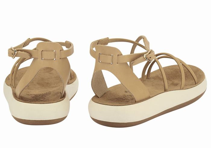 Beige Ancient Greek Sandals Anastasia Comfort Women Ankle Strap Sandals | VWB2464PO