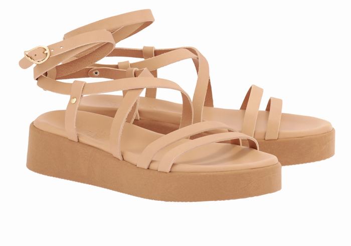 Beige Ancient Greek Sandals Aristea Leather Women Platform Sandals | SHR5810YL