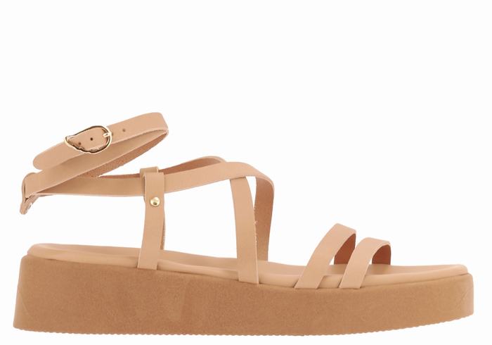 Beige Ancient Greek Sandals Aristea Leather Women Platform Sandals | SHR5810YL