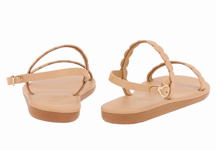 Beige Ancient Greek Sandals Aroula Women Back-Strap Sandals | KKC3356IN