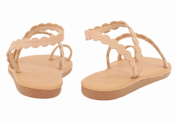 Beige Ancient Greek Sandals Aura Women Toe-Post Sandals | BPQ1643CI