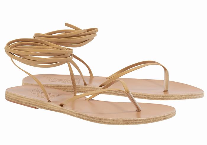 Beige Ancient Greek Sandals Celia Women Gladiator Sandals | AWU8880IB