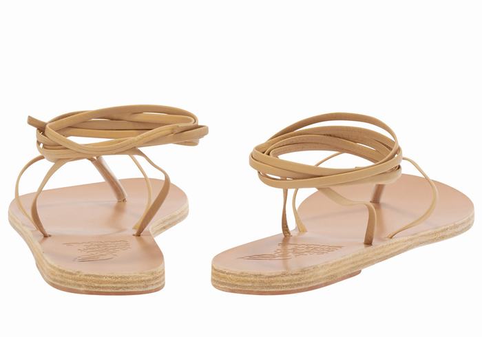 Beige Ancient Greek Sandals Celia Women Gladiator Sandals | AWU8880IB