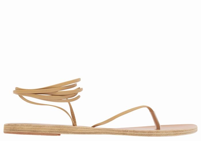 Beige Ancient Greek Sandals Celia Women Gladiator Sandals | AWU8880IB