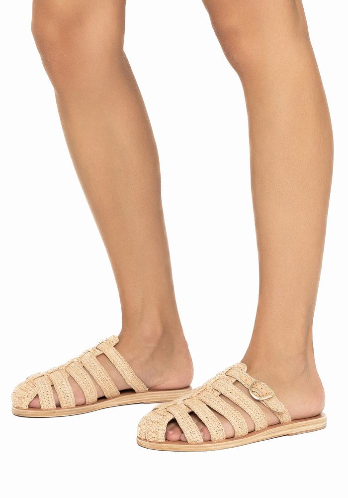 Beige Ancient Greek Sandals Cosmia Women Fisherman Sandals | PCK3081BD