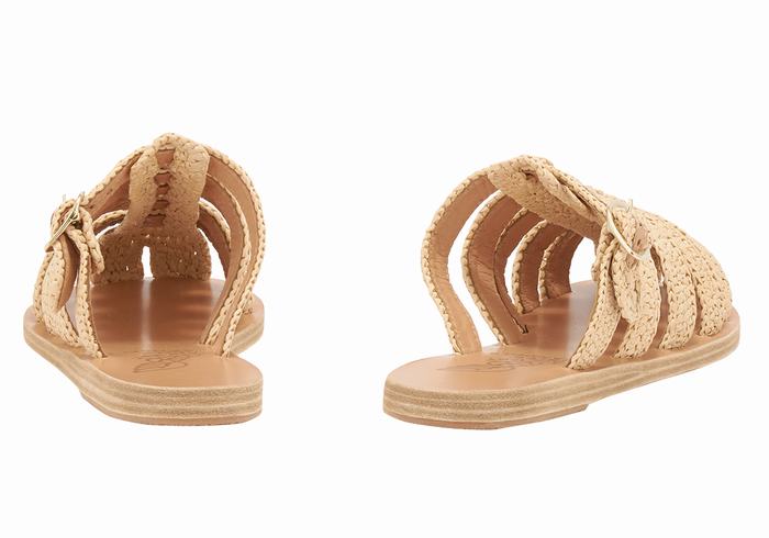 Beige Ancient Greek Sandals Cosmia Women Fisherman Sandals | PCK3081BD