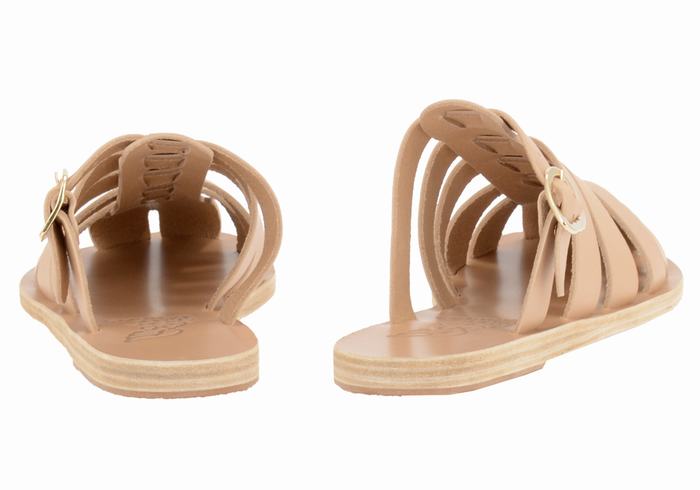 Beige Ancient Greek Sandals Cosmia Women Fisherman Sandals | EJQ6922YX