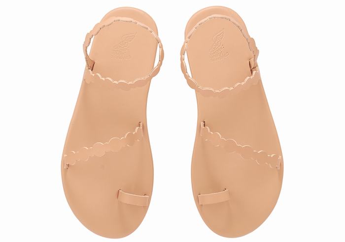 Beige Ancient Greek Sandals Cronos Women Toe-Post Sandals | MWE3696OX