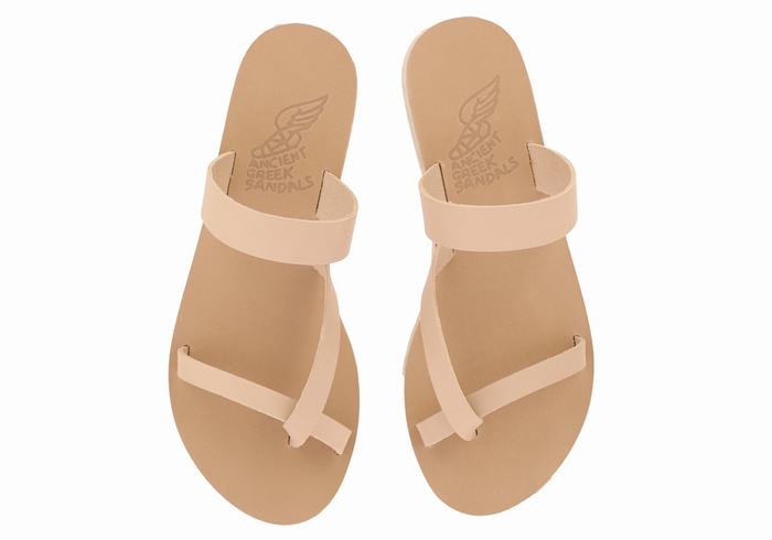 Beige Ancient Greek Sandals Daphnae Leather Women Slide Sandals | IKE5931YJ