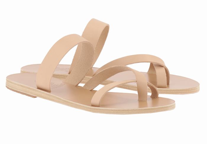 Beige Ancient Greek Sandals Daphnae Leather Women Slide Sandals | IKE5931YJ