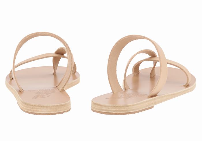 Beige Ancient Greek Sandals Daphnae Leather Women Slide Sandals | IKE5931YJ