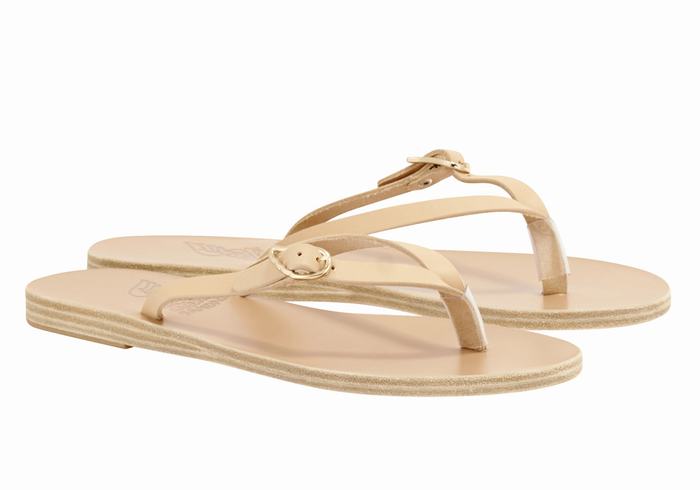 Beige Ancient Greek Sandals Dihalo Leather Women Flip Flops | YRO4978OK