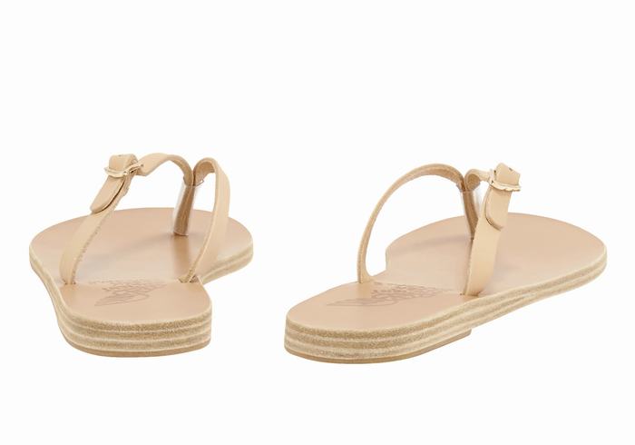 Beige Ancient Greek Sandals Dihalo Leather Women Flip Flops | YRO4978OK