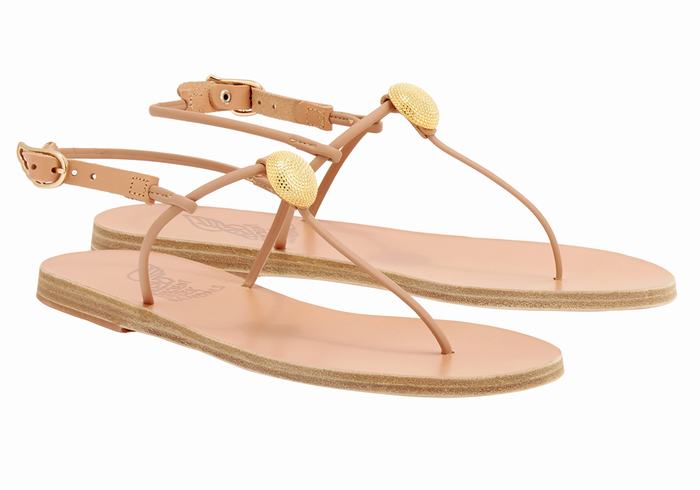 Beige Ancient Greek Sandals Dimitra Flip Flop Women Back-Strap Sandals | CRY9986SL