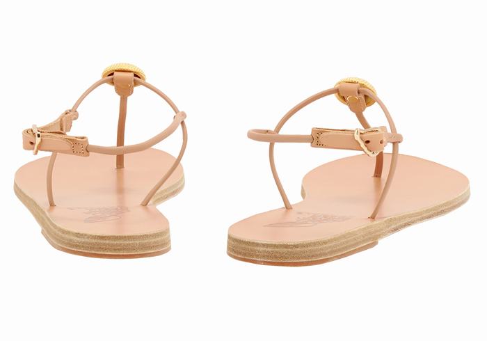 Beige Ancient Greek Sandals Dimitra Flip Flop Women Back-Strap Sandals | CRY9986SL