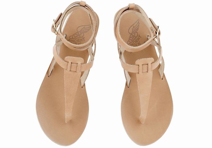 Beige Ancient Greek Sandals Estia Leather Women Ankle Strap Sandals | TBZ2016QQ