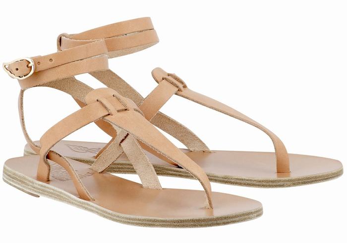 Beige Ancient Greek Sandals Estia Leather Women Ankle Strap Sandals | TBZ2016QQ