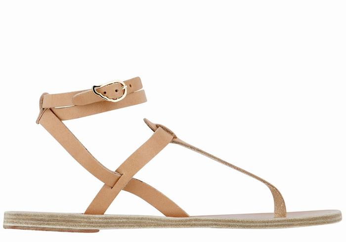 Beige Ancient Greek Sandals Estia Leather Women Ankle Strap Sandals | TBZ2016QQ