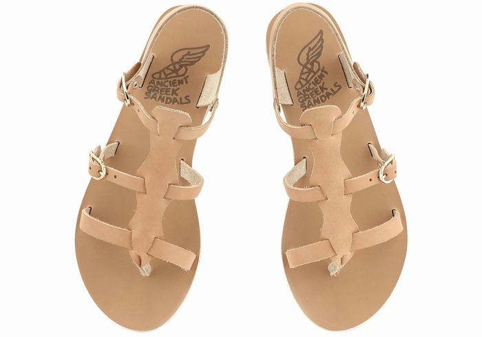 Beige Ancient Greek Sandals Grace Kelly Leather Women Casual Sandals | GPT8638YG