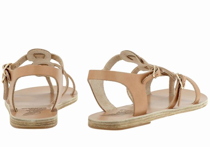 Beige Ancient Greek Sandals Grace Kelly Leather Women Casual Sandals | GPT8638YG