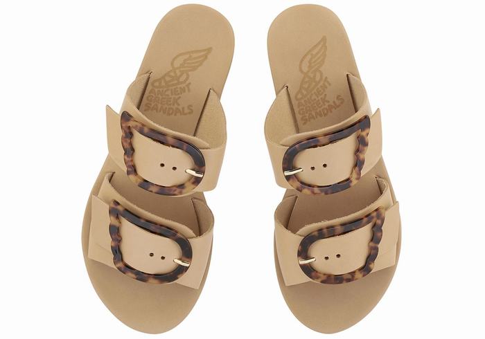 Beige Ancient Greek Sandals Iaso Women Slide Sandals | CSJ896LL