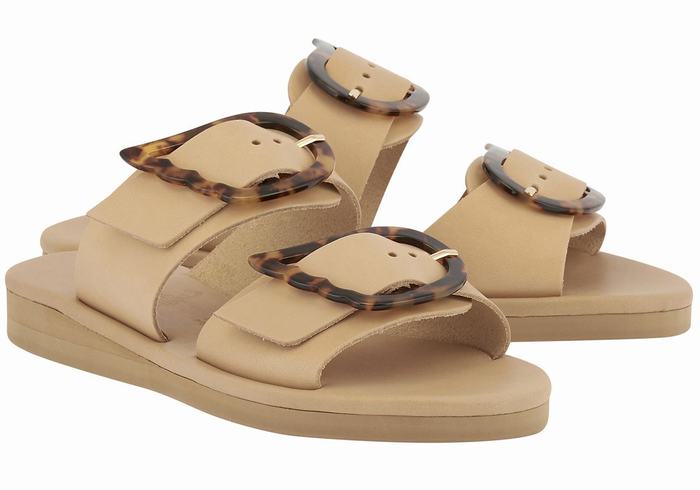 Beige Ancient Greek Sandals Iaso Women Slide Sandals | CSJ896LL