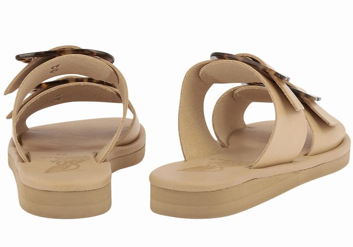 Beige Ancient Greek Sandals Iaso Women Slide Sandals | CSJ896LL