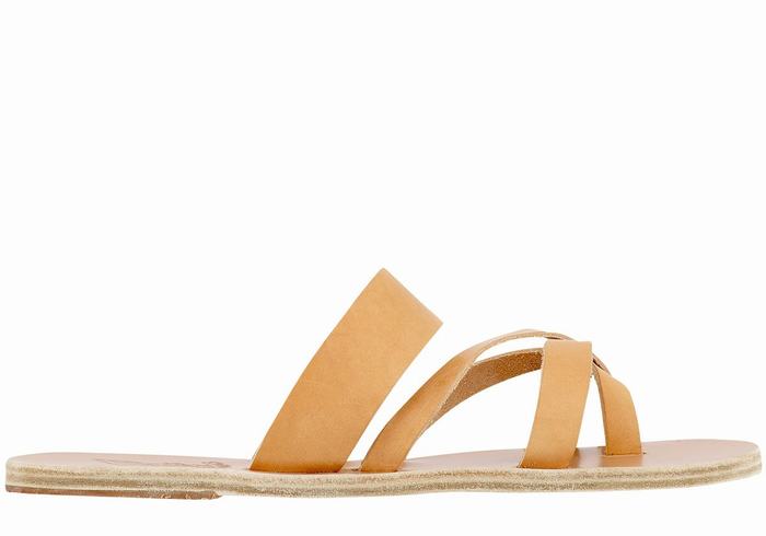 Beige Ancient Greek Sandals Jason Leather Men Slide Sandals | DPG8026KP