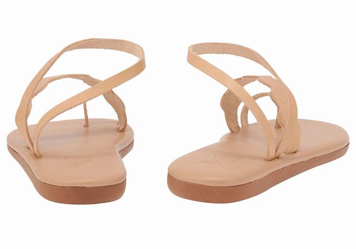 Beige Ancient Greek Sandals Koralia Women Toe-Post Sandals | QPT1451VJ